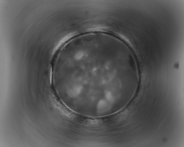 X0000116001219200911191417