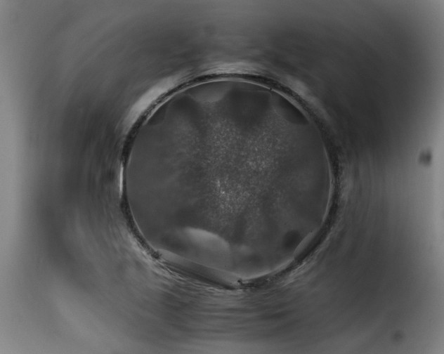 X0000116001221200911191417