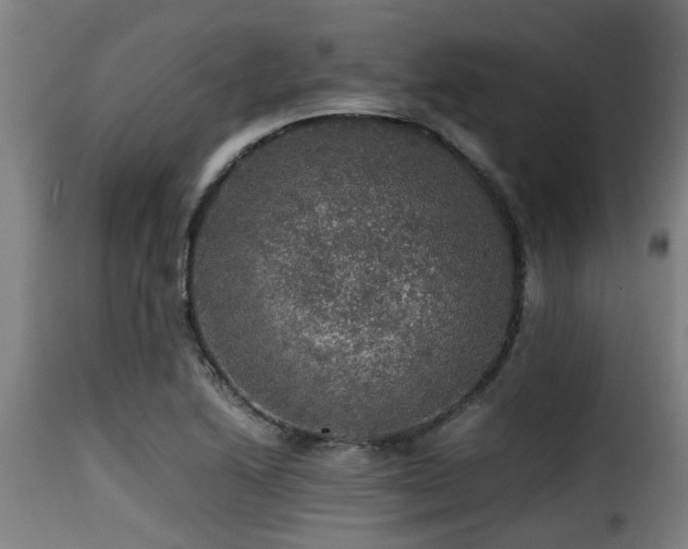 X0000116001222200911191417