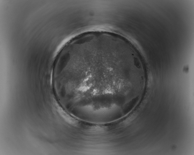 X0000116001224200911191417