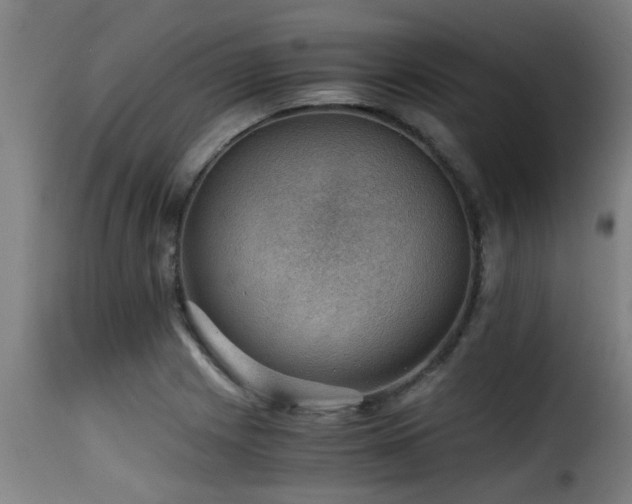 X0000116001225200911191417