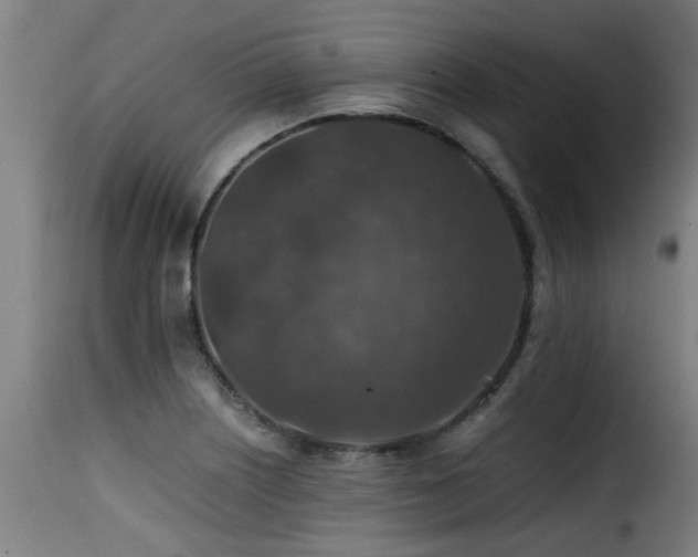 X0000116001226200911191417