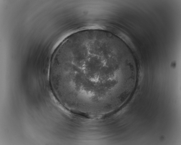 X0000116001228200911191417