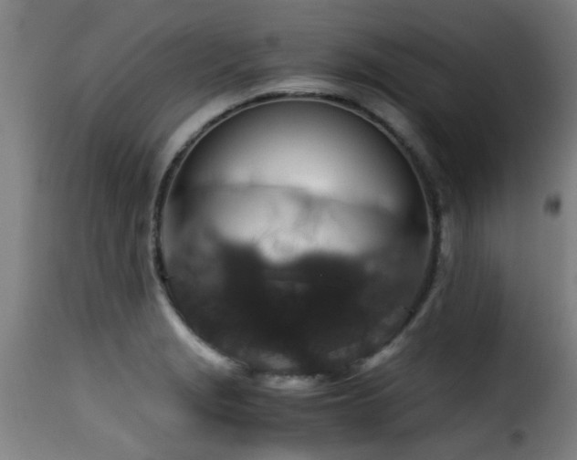 X0000116001229200911191417