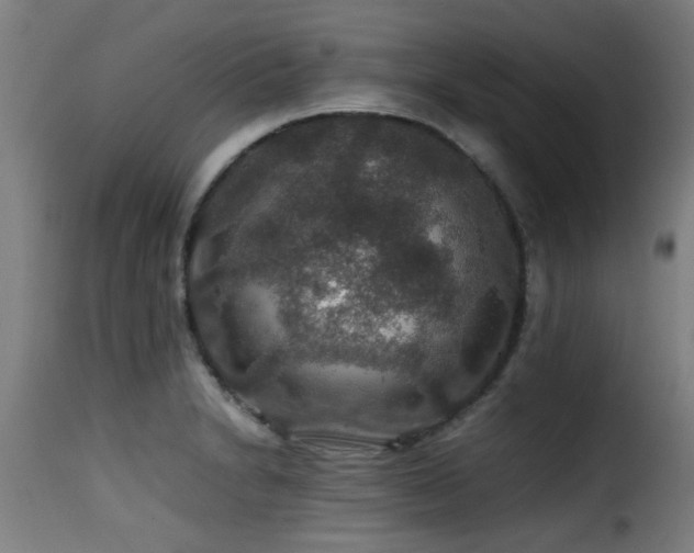 X0000116001230200911191417