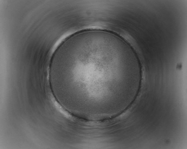 X0000116001232200911191417