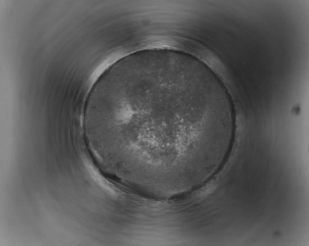 X0000116001234200911191417