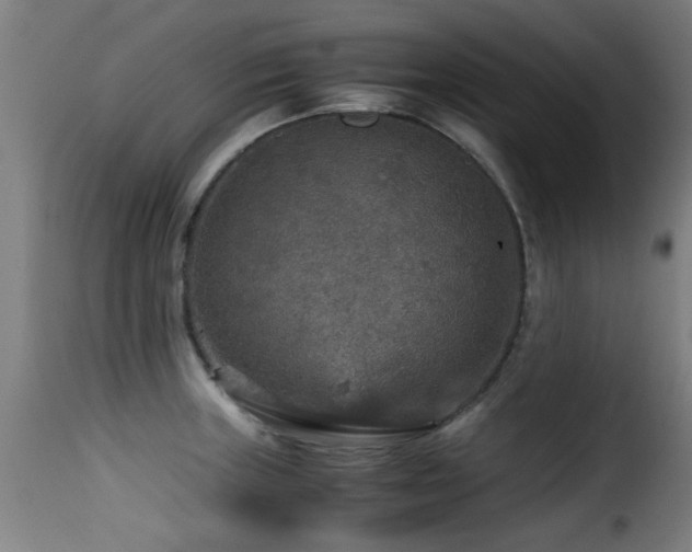 X0000116001235200911191417