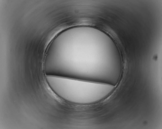 X0000116001236200911191417