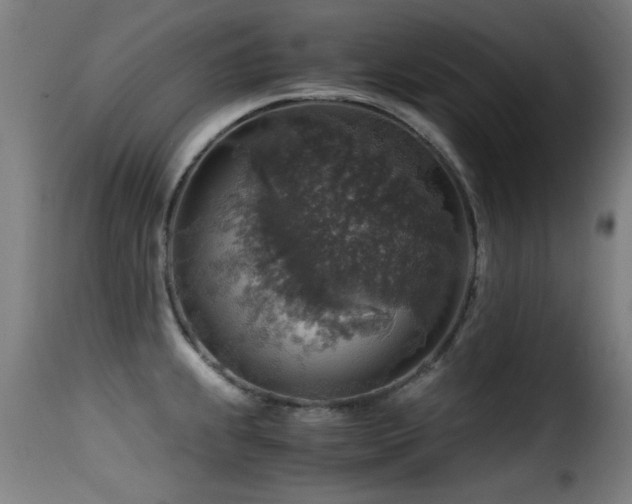 X0000116001239200911191417