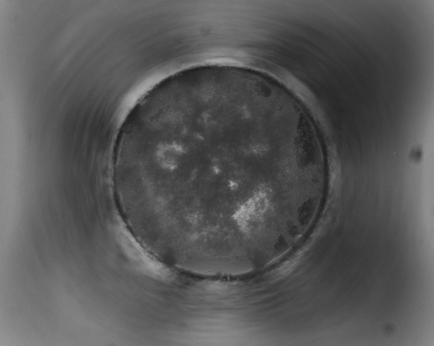 X0000116001240200911191417