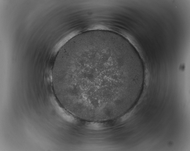 X0000116001241200911191417