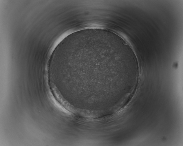 X0000116001243200911191417