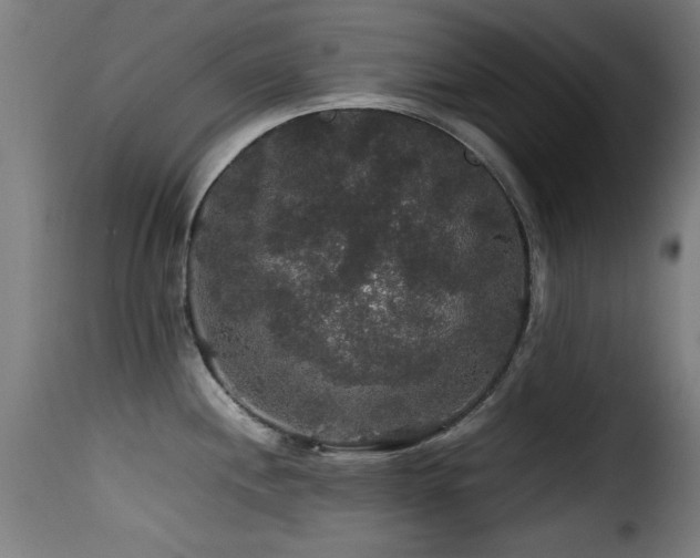 X0000116001244200911191417