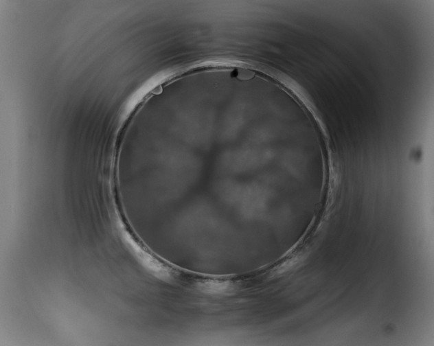 X0000116001245200911191417