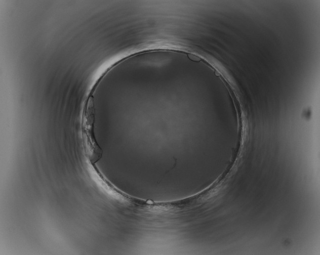 X0000116001246200911191417