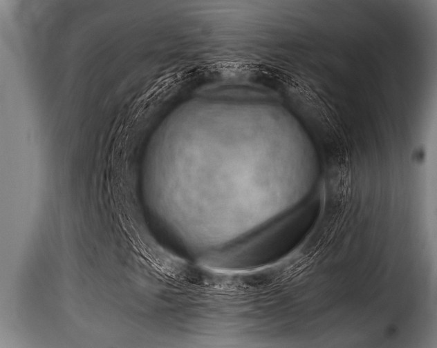 X0000116001249200911191416