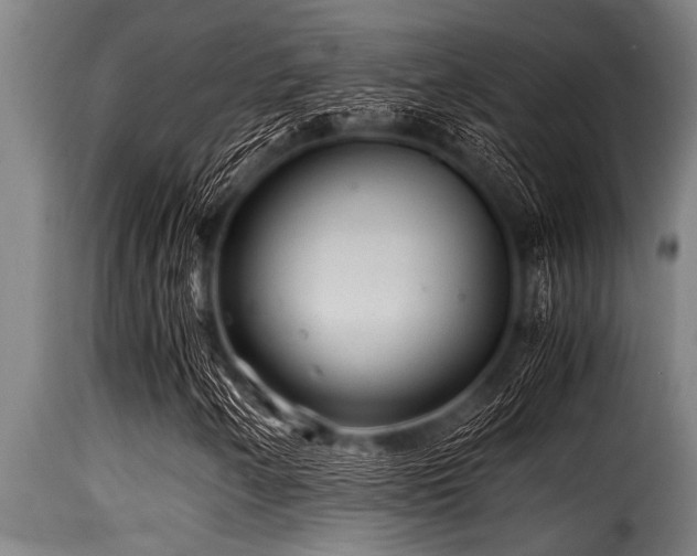 X0000116001250200911191416