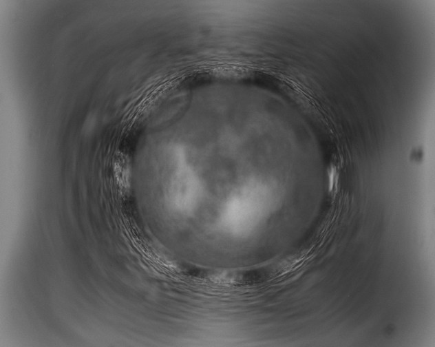 X0000116001251200911191416