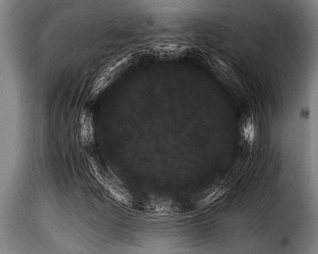 X0000116001252200911191416