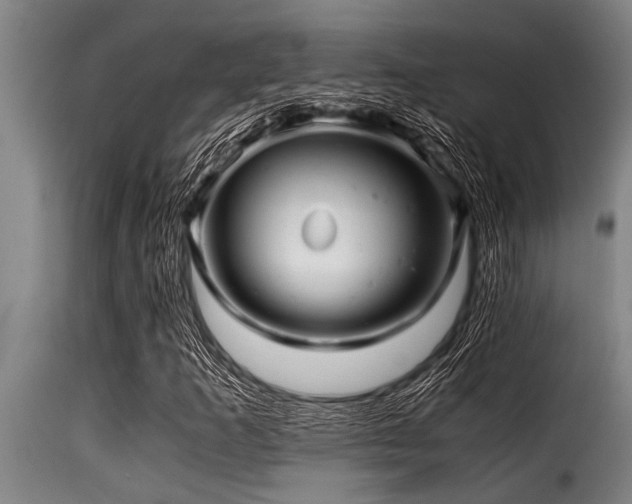 X0000116001253200911191416