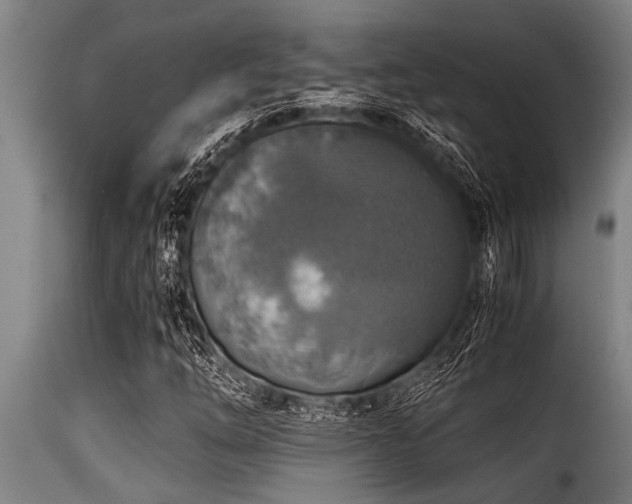 X0000116001254200911191416