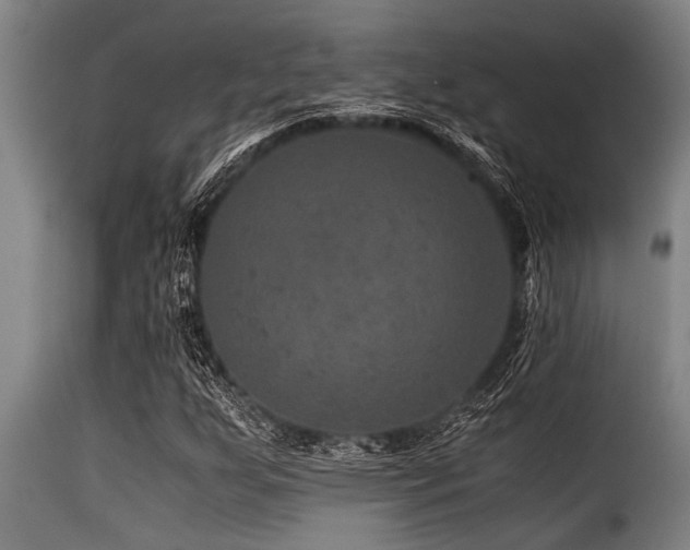 X0000116001255200911191416