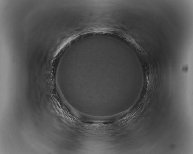 X0000116001256200911191416