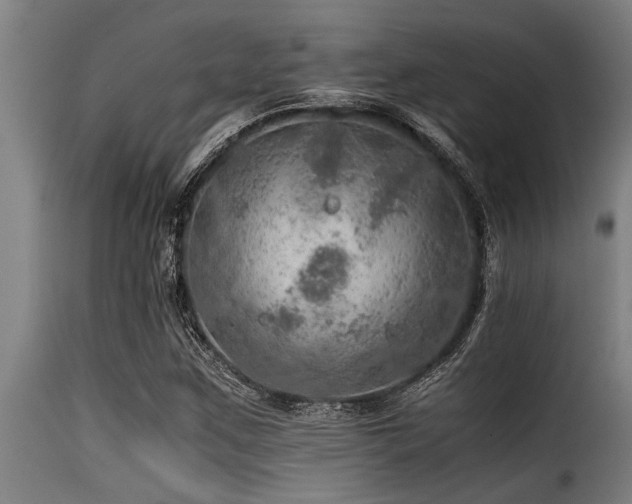 X0000116001259200911191416