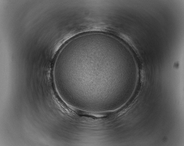 X0000116001260200911191416