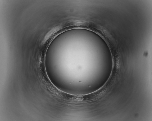 X0000116001261200911191416