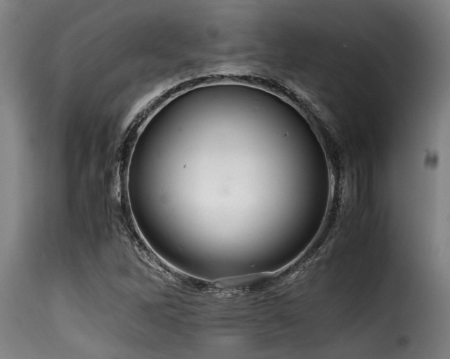 X0000116001262200911191416