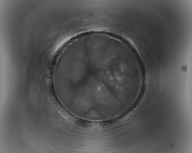 X0000116001263200911191416