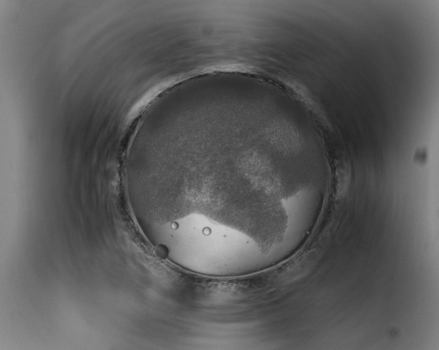 X0000116001266200911191416