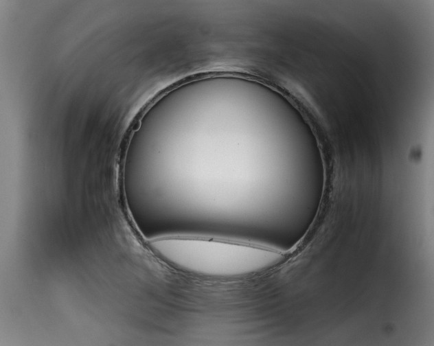 X0000116001268200911191416