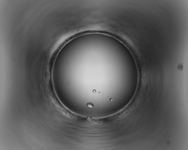 X0000116001270200911191416