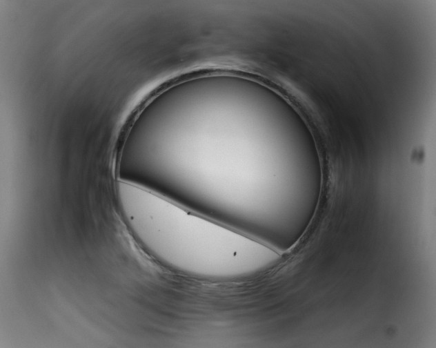 X0000116001272200911191416