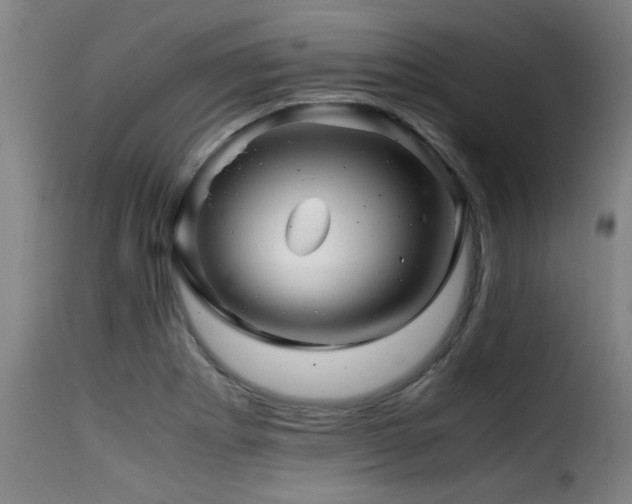 X0000116001273200911191416