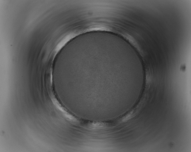 X0000116001274200911191416