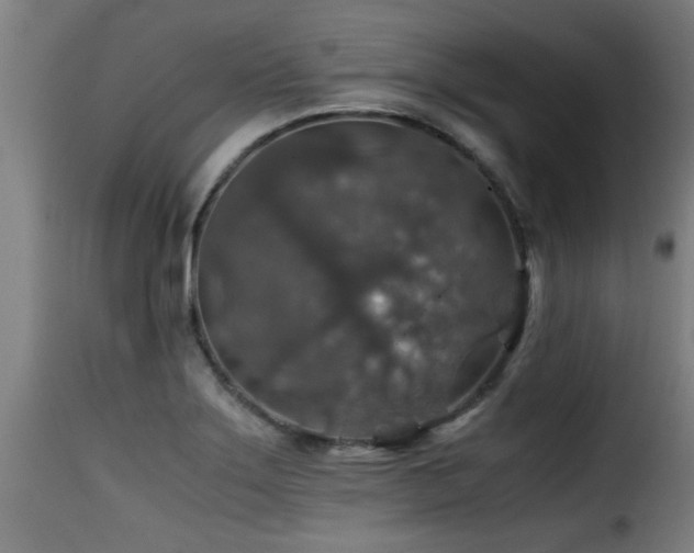 X0000116001275200911191416