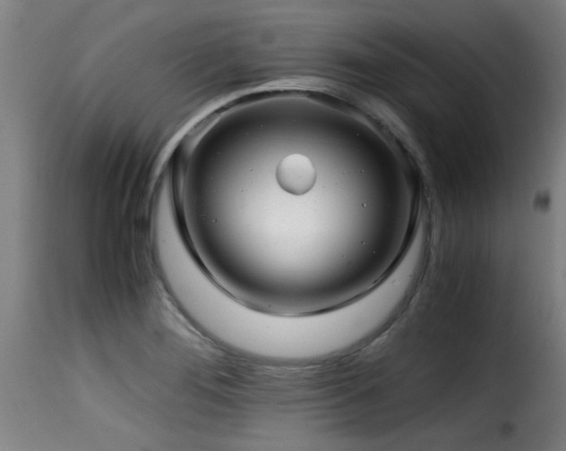 X0000116001276200911191416