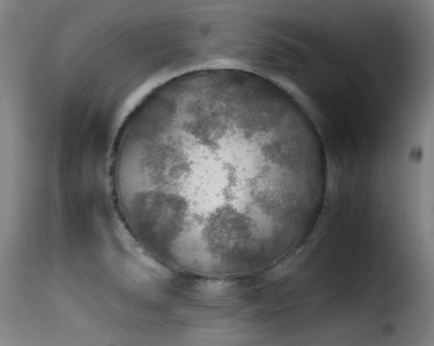 X0000116001278200911191416