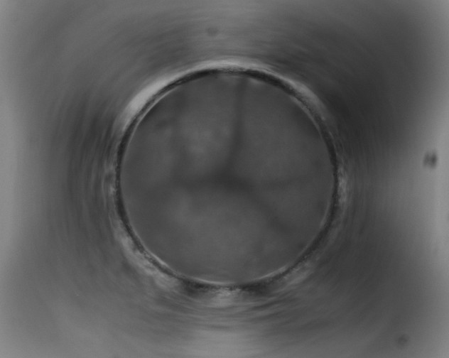 X0000116001279200911191416