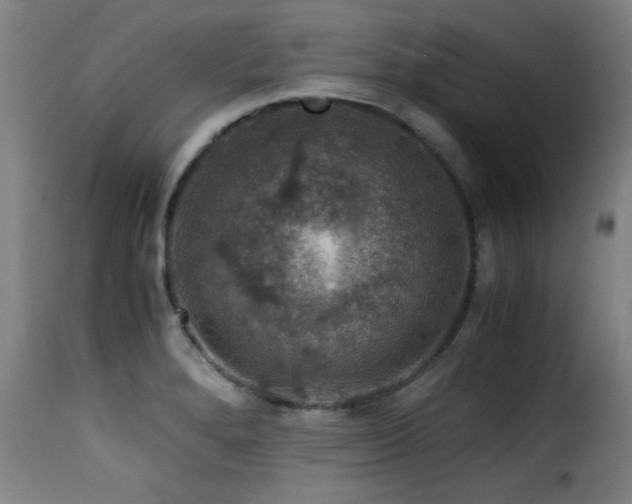 X0000116001280200911191416