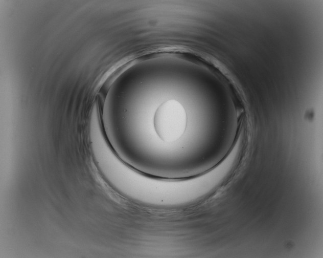 X0000116001281200911191416