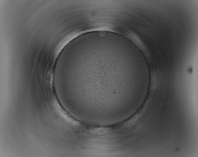 X0000116001284200911191416