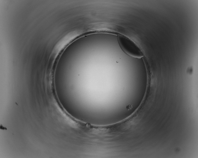 X0000116001285200911191416