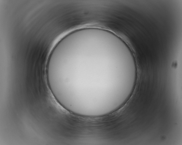 X0000116001288200911191416