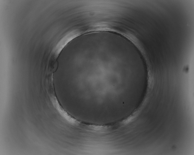 X0000116001289200911191416