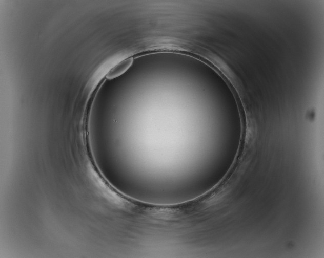 X0000116001293200911191416